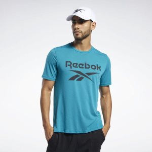 Koszulki Męskie Reebok Workout Ready Supremium Graphic Turkusowe PL 32FXZDS